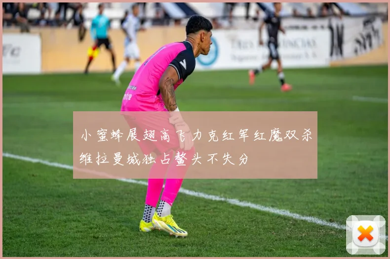小蜜蜂展翅高飞力克红军红魔双杀维拉曼城独占鳌头不失分