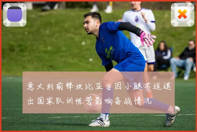 意大利前锋坎比亚吉因小腿不适退出国家队训练营影响备战情况