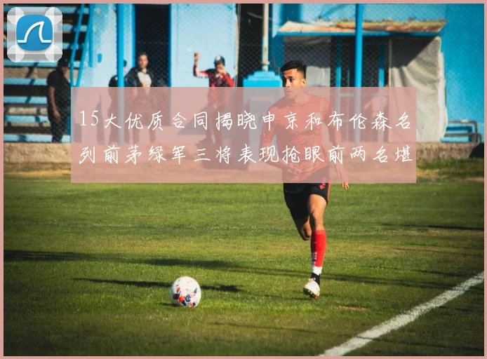 15大优质合同揭晓申京和布伦森名列前茅绿军三将表现抢眼前两名堪称传奇