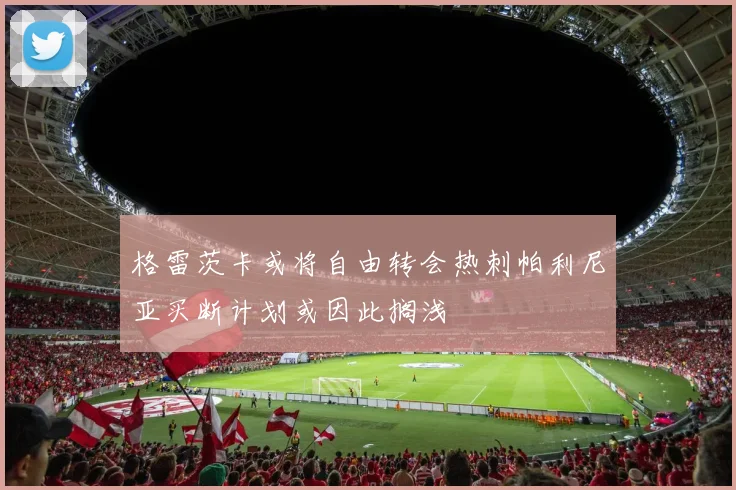 格雷茨卡或将自由转会热刺帕利尼亚买断计划或因此搁浅