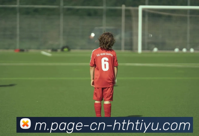 华体会体育APP 封面图